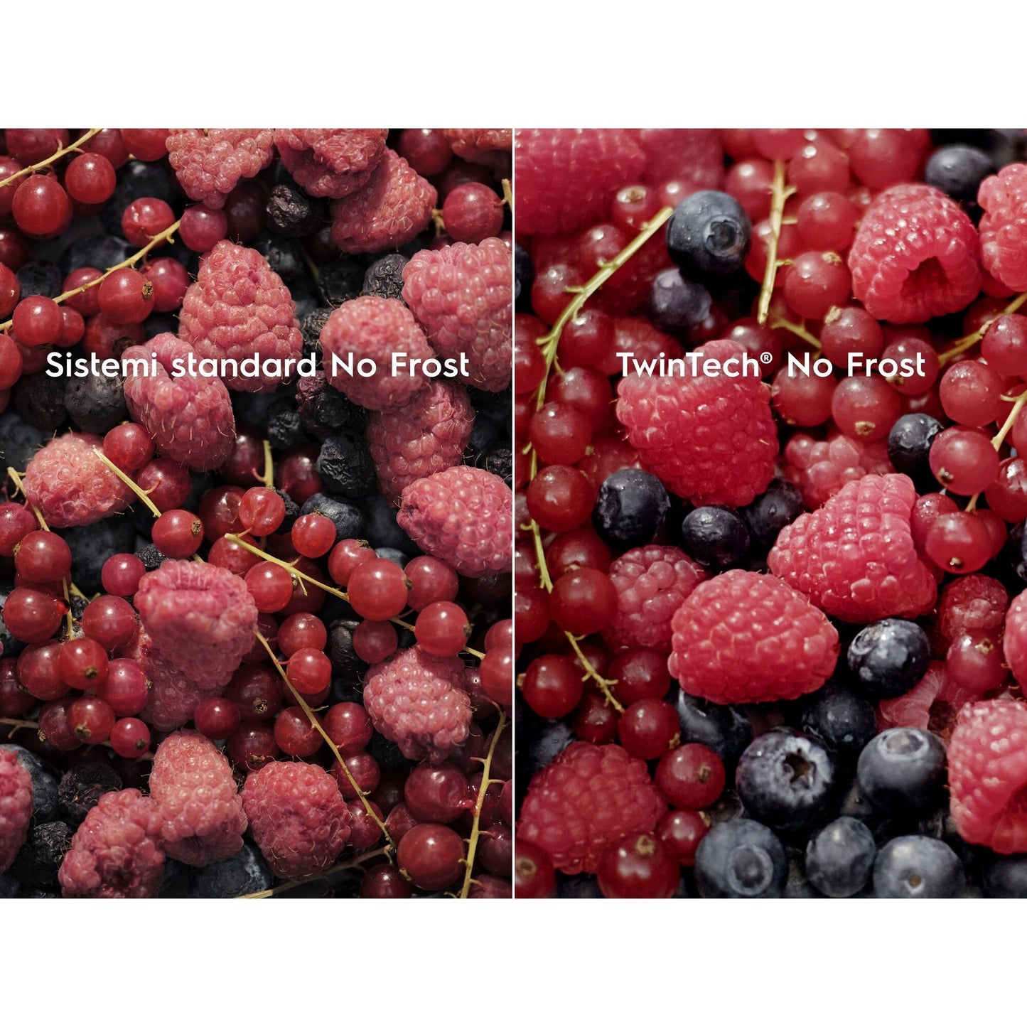 Electrolux BI Distributori Partner KNT6ME19S1 Phase-out 2026 Aprile | FRIGOCONGELATORE COMBINATO TWI