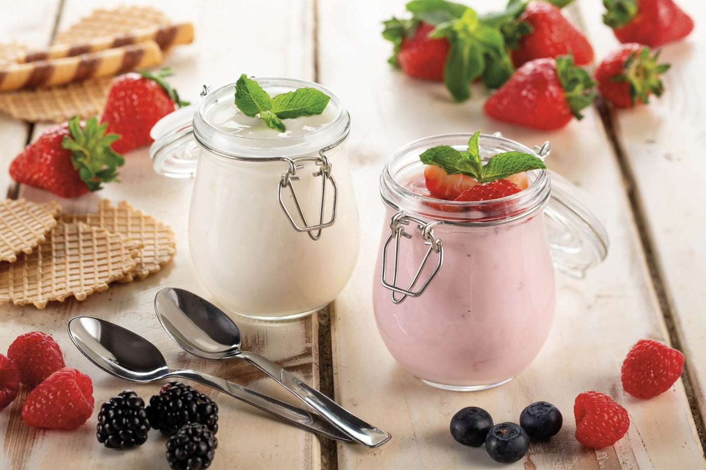 ARIETE PED 615 | CUCINA | PREPARAZIONE CIBI | YOGURTIERA | MACCH.FORMAGGIO/JOGURT 500W 6PROG. B-CHEE