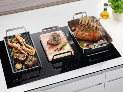 ELX FS Open E2SLT  | UNIVERSALI _E SPECIALI | La piastra di puro sale rosa estratto dalle alture del