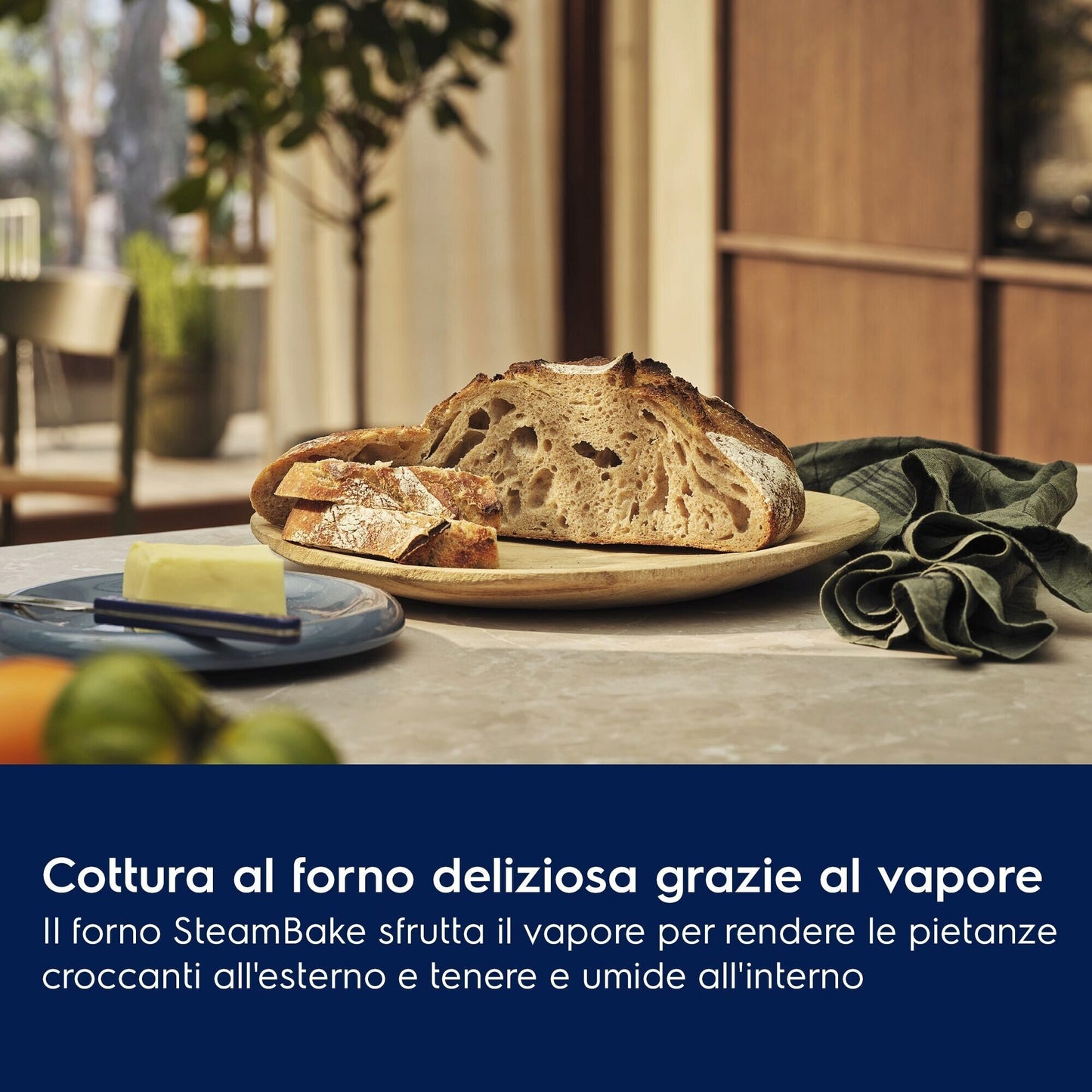 Electrolux BI Distributori Partner SMALTIMENTO KODGS60TX Phase-out 2026 Aprile | Forno multifunzione
