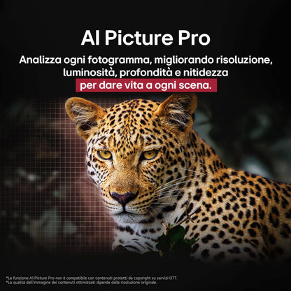LG ELETTRONICA OLED48G56LS | TV | TV OLED | TV OLED 43" - 49" | TV OLED EVO 48"UHD 4K DVBT2/S2 SMART