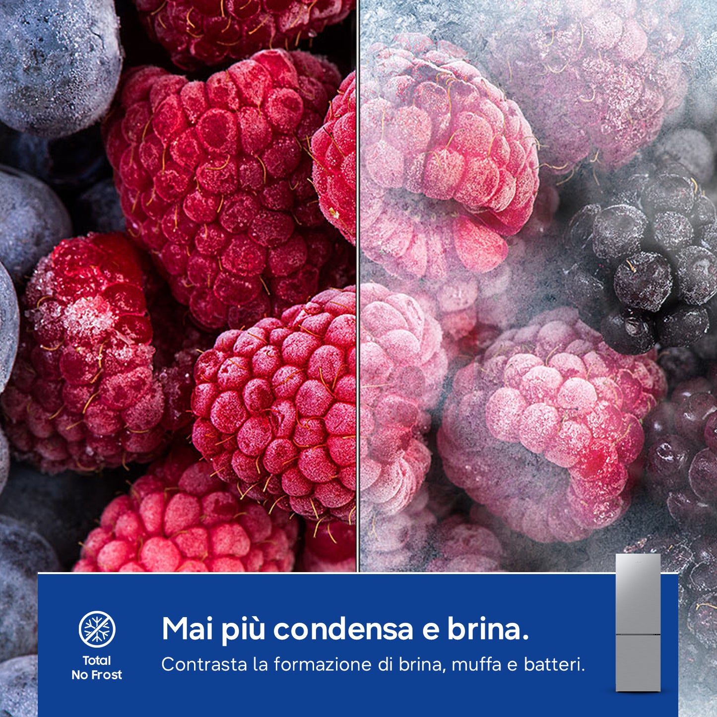 SAMSUNG BIANCO RB33B610ESA | FRIGORIFERI | FRIGORIFERI COMBINATI | FRIGO COMBI NO FROST | COMBI 344L
