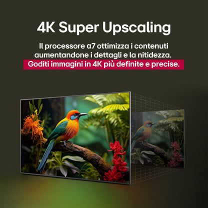 LG ELETTRONICA 55QNED80A6A | TV | TV LED | TV LED 50"-55" | TV LED QNED 55"UHD 4K DVBT2/S2 SMART WEB