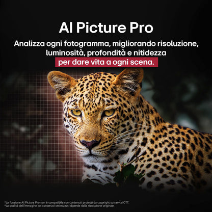 LG ELETTRONICA OLED65G56LS | TV | TV OLED | TV OLED 61" - 69" | TV OLED EVO 65"UHD 4K DVBT2/S2 SMART