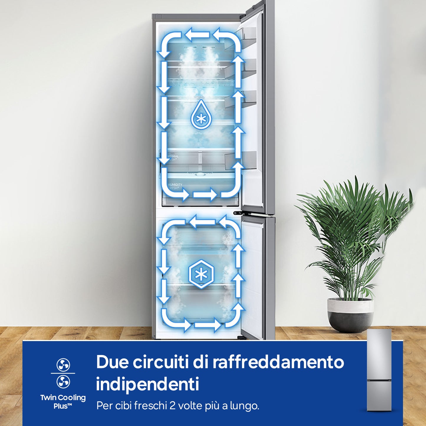 SAMSUNG BIANCO RB38C607AS9EF | FRIGORIFERI | FRIGORIFERI COMBINATI | FRIGO COMBI NO FROST | COMBI 38