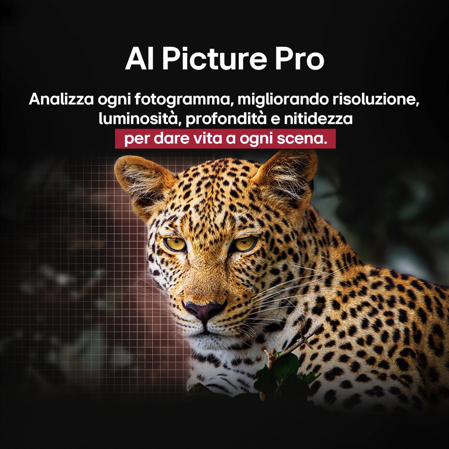 LG ELETTRONICA OLED77B56LA | TV | TV OLED | TV OLED 70" - 79" | TV OLED 77"UHD 4K DVBT2/S2 SMART WEB
