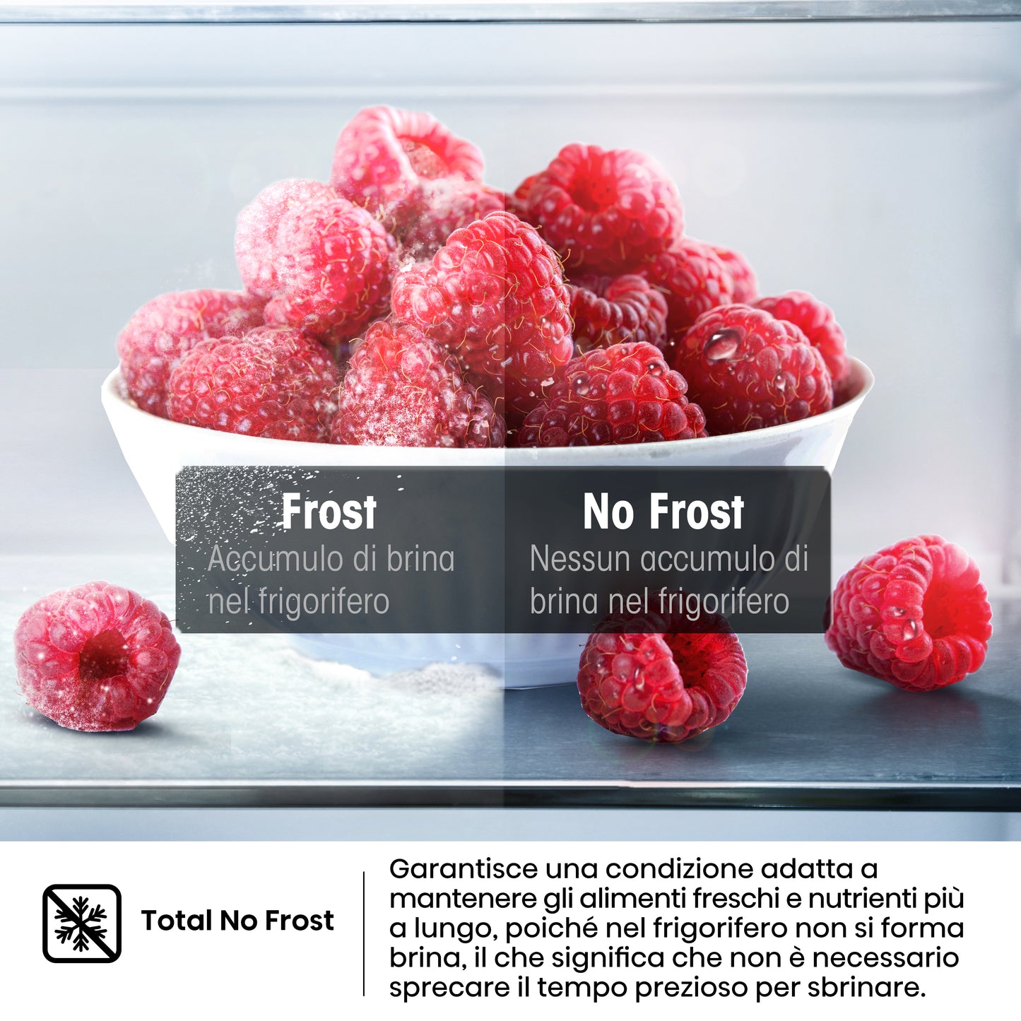 HISENSE BIANCO RT600N4WC2 | FRIGORIFERI | FRIGORIFERI A 2PORTE | FRIGO 2P NO FROST | FRIGO 2P.466LT