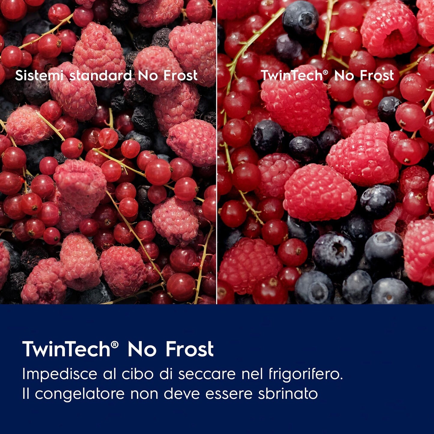 Electrolux BI   LNT6NE18S Phase-out 2026 Marzo | FRIGOCONGELATORE COMBINATO TWINTECH TOTAL NO FROST/