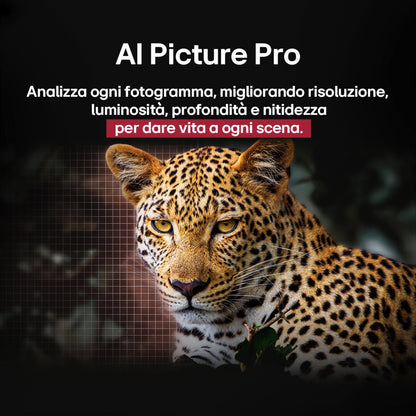 LG ELETTRONICA OLED55C55LA | TV | TV OLED | TV OLED 50" - 55" | TV OLED EVO 55"UHD 4K DVBT2/S2 SMART