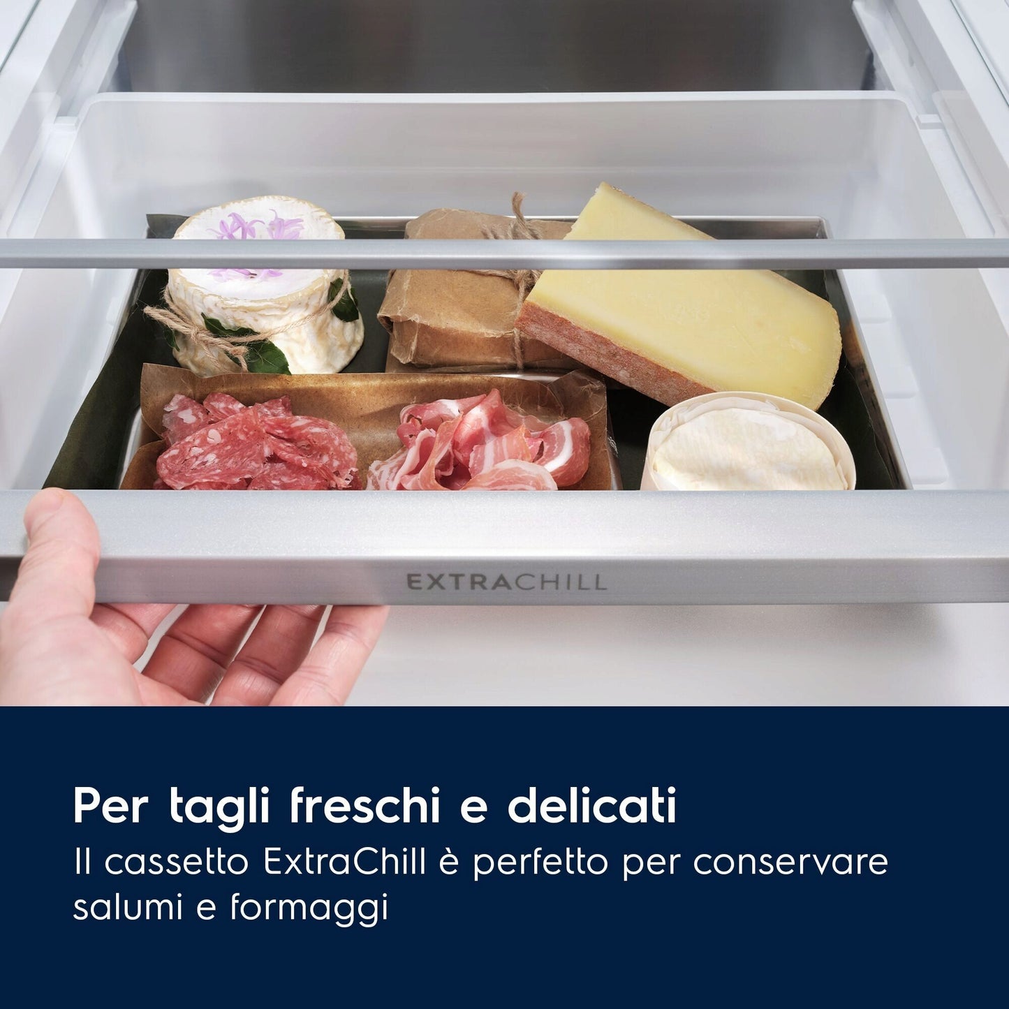Electrolux BI Distributori Partner KNT6ME18S1 Phase-out 2026 Aprile | FRIGOCONGELATORE COMBINATO TWI