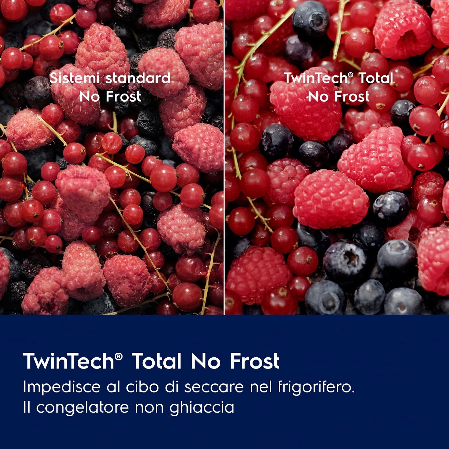 Electrolux BI  Partner LNG7TE18S Phase-out 2026 Aprile | FRIGOCONGELATORE COMBINATO TWINTECH TOTAL N