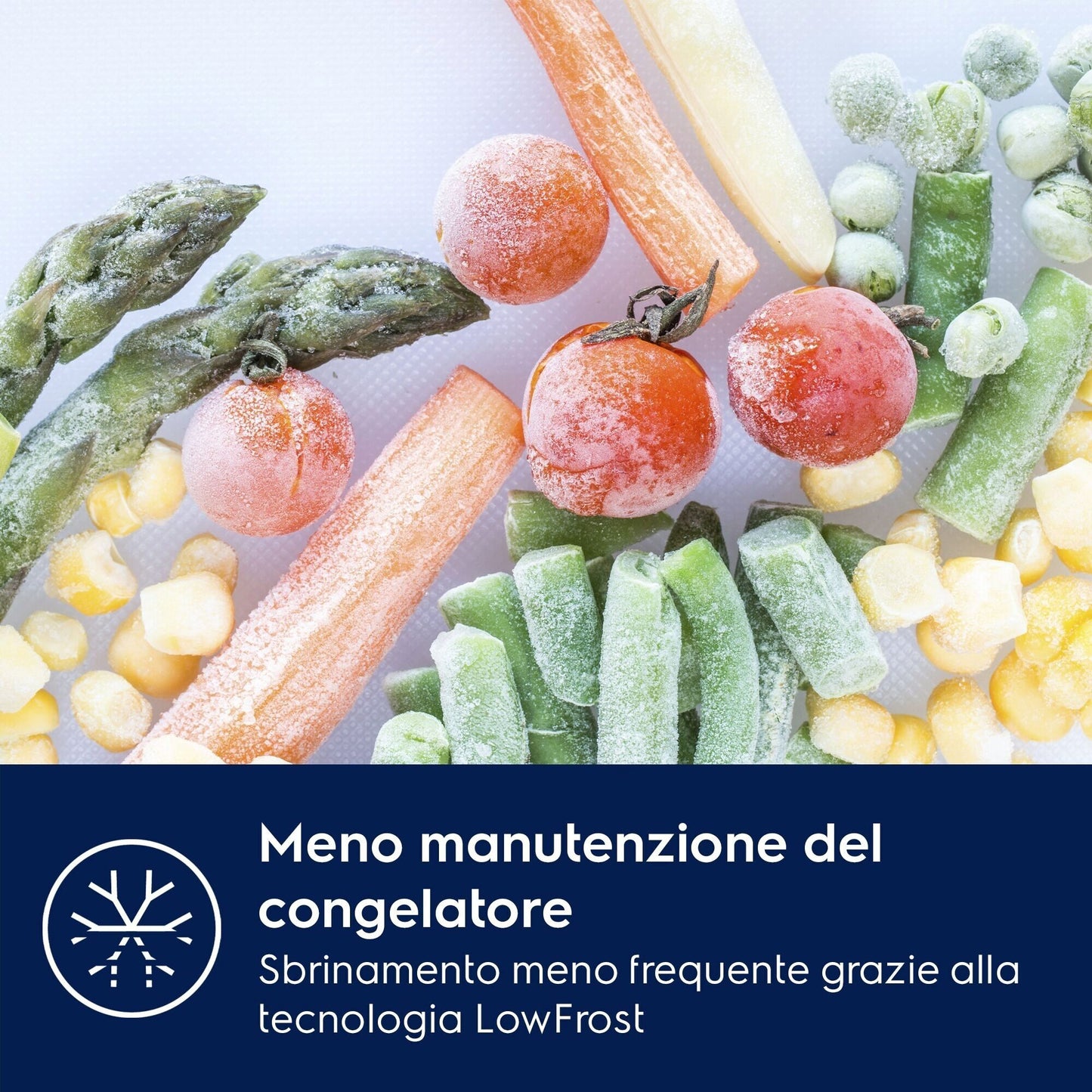 Electrolux BI   KNS5LE18T Phase-out 2026 Marzo | FRIGOCONGELATORE COMBINATO/1780 MM/CLASSE ENERGETIC