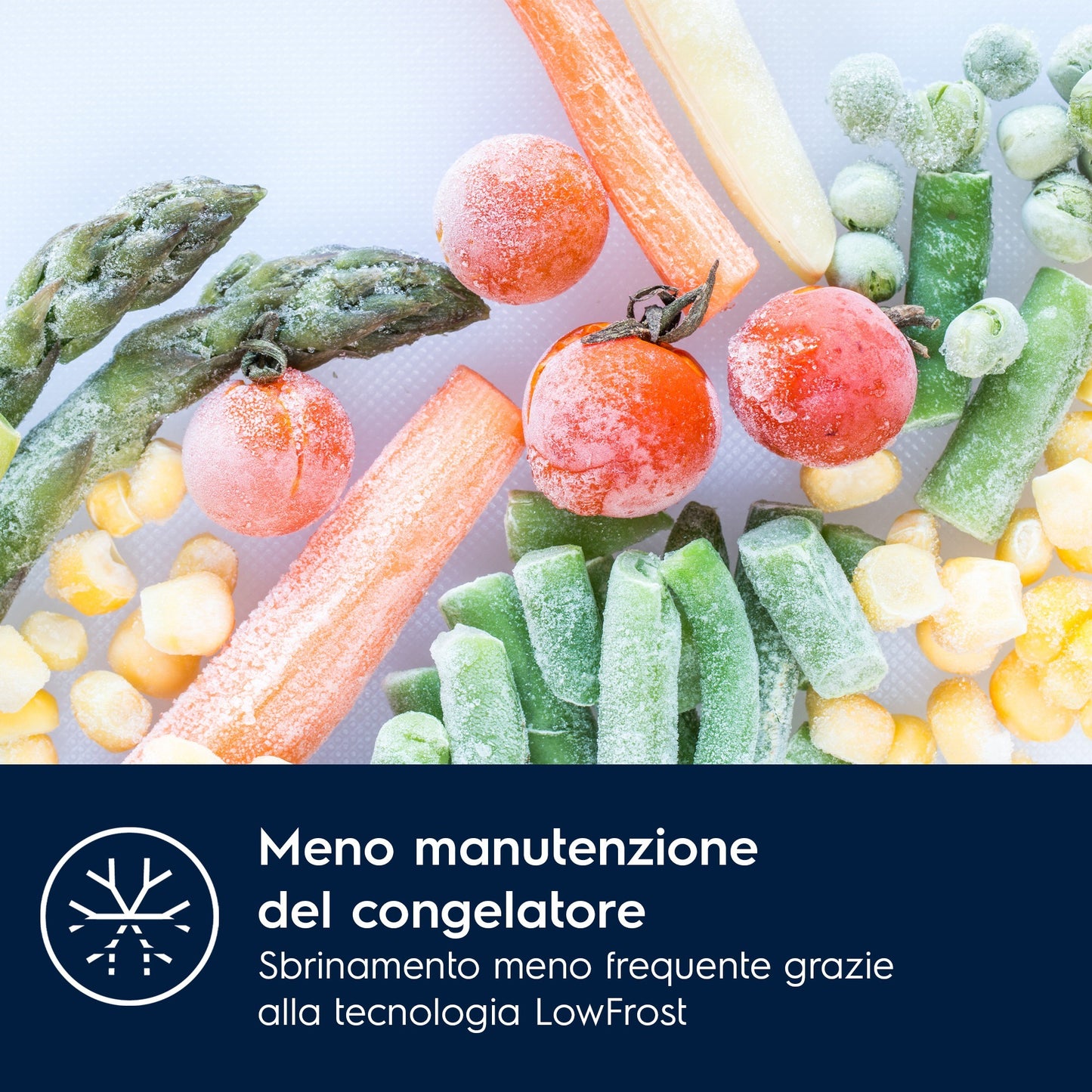 Electrolux BI   KNS5LE18T Phase-out 2026 Marzo | FRIGOCONGELATORE COMBINATO/1780 MM/CLASSE ENERGETIC